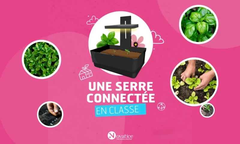 serre connectée en classe enseignement durable